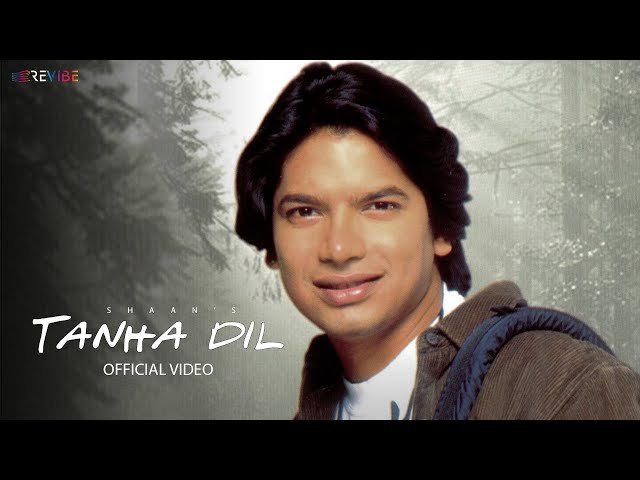Tanha Dil Tanha Safar Bangla Translation