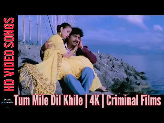 Tu Mile Dil Khile English Translation