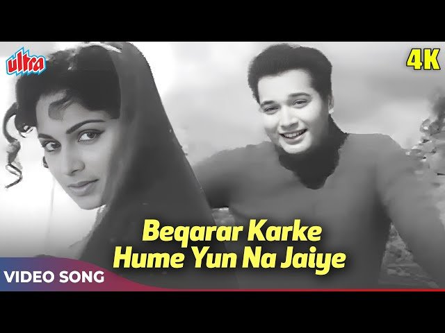 Beqarar Karke Hamen Yun Na Jaiye Lyrics (Bangla Translation)